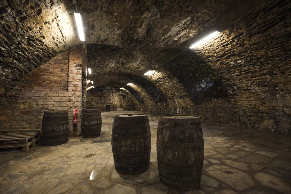 Podziemia zamku w Ząbkowicach Śląskich