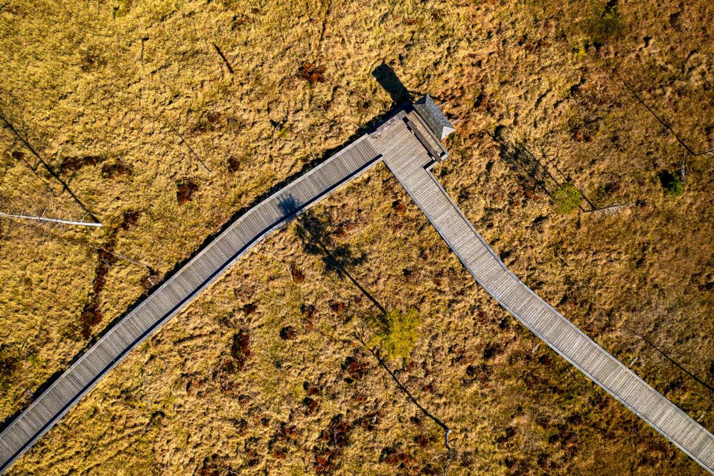 Po Torfowisku w Zieleńcu poruszaj się wyłącznie po wyznaczonych trasach - drewnianych kładkach