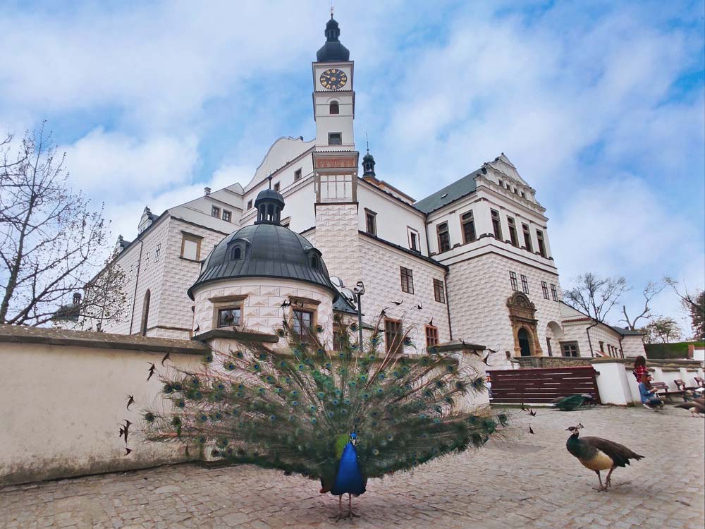 Pałac Pardubice – szlakiem duchów, skarbów i królewskich historii
