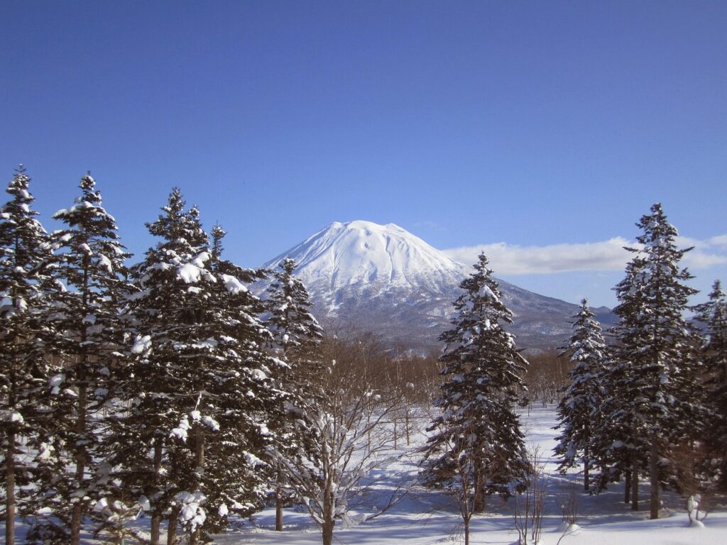 widok na góry w Japonii w zimowej śnieżnej scenerii
