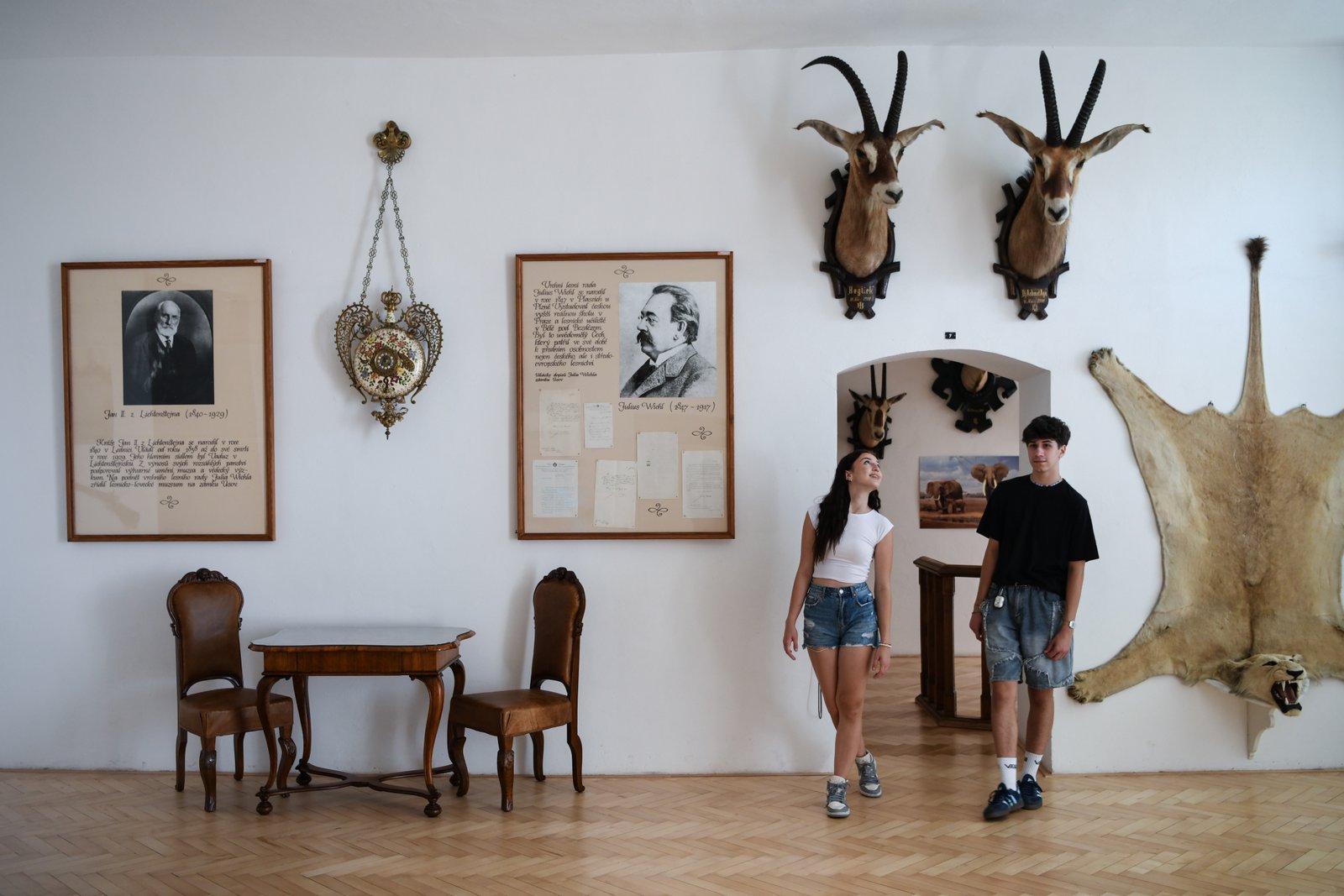 Pokój wystawowy w Pałacu Úsov z portretami dawnych właścicieli i trofeami myśliwskimi. Na ścianie wiszą spreparowane głowy antylop i wyprawiona skóra lwa.