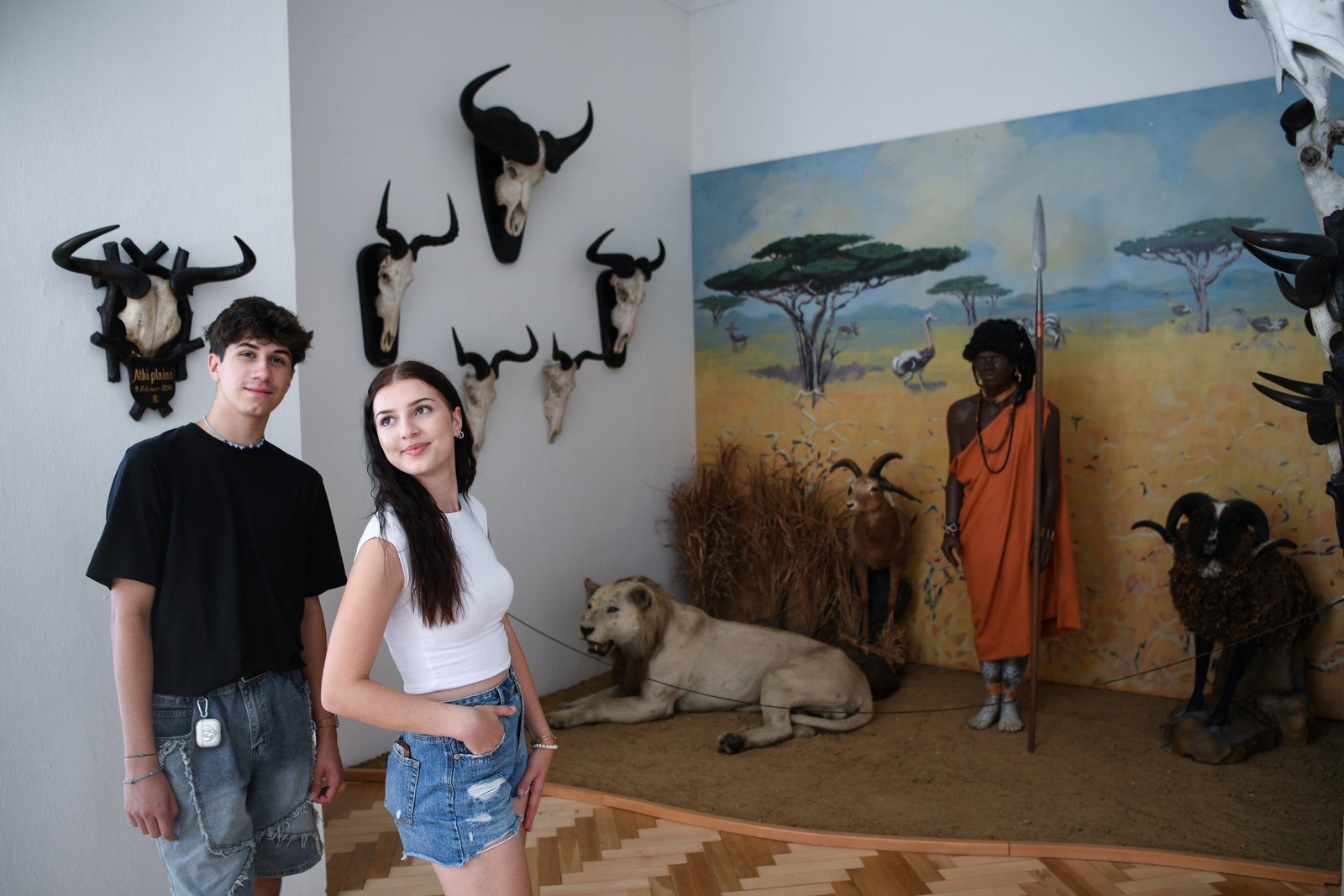 Sala wystawowa Pałacu Úsov z aranżacją przedstawiającą sawannę – manekin wojownika z włócznią, wypchany lew i antylopy na tle malowanego pejzażu.