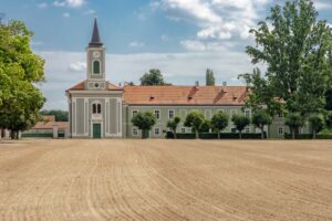 Pałac i stadnina Kladruby nad Labem – tam, gdzie historia galopuje z tradycją