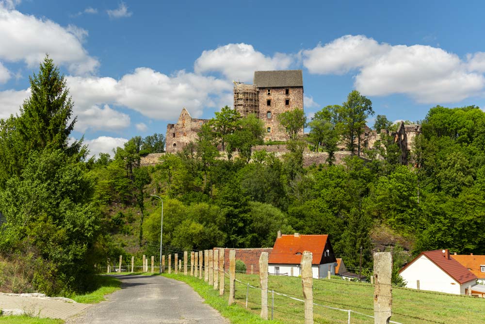 Widok na Zamek Świny górujący nad miejscowością. Kamienna warownia wśród zieleni drzew i zabudowań u stóp wzgórza.