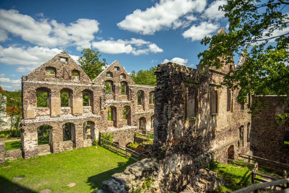Fragment ruin Zamku Świny z zachowanymi kamiennymi ścianami i licznymi otworami okiennymi. Między murami rośnie trawa, a całość otacza zieleń.