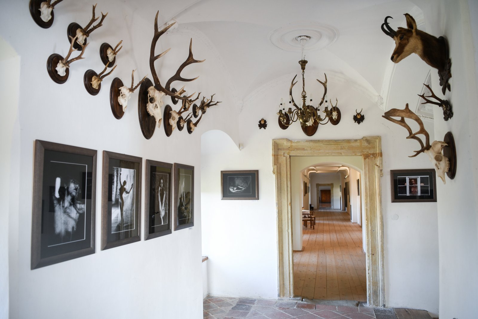 Korytarz myśliwski w Pałacu Plumlov zdobiony porożami i preparowanymi głowami zwierząt oraz czarno-białymi fotografiami, prowadzący do dalszych sal zamku.
