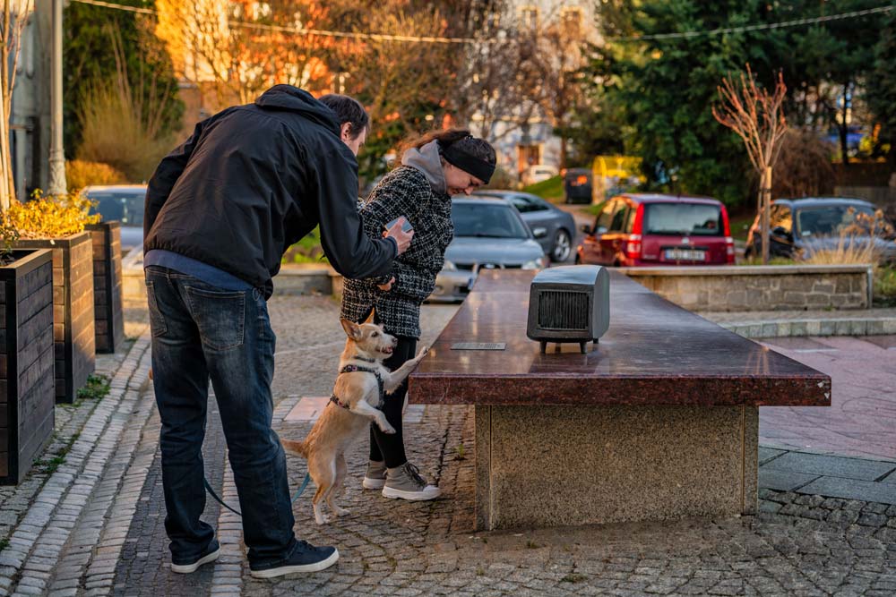 Para z psem ogląda mosiężne radio Traktu Diora ustawione na długiej ławie w przestrzeni miejskiej.