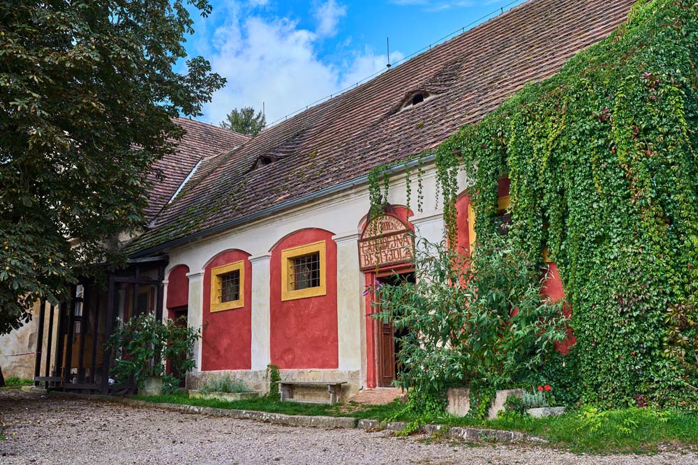 Kolorowe skrzydło pałacowe Staré Hrady z czerwono-żółtymi obramieniami okien; ścianę porasta gęsty bluszcz.