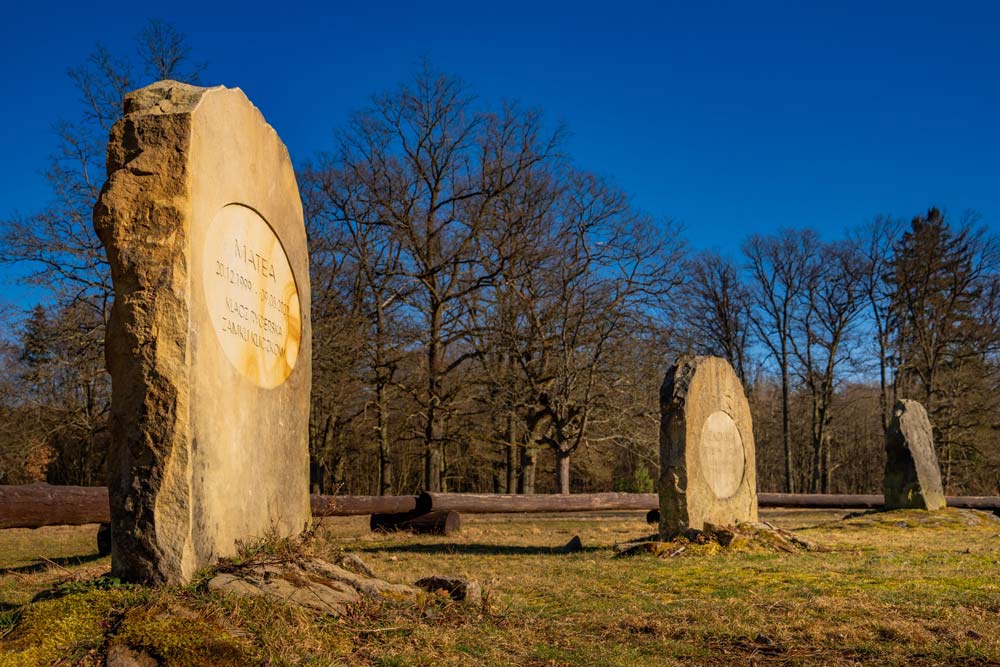 Cmentarz koni w Kliczkowie z trzema kamiennymi nagrobkami na tle starych drzew