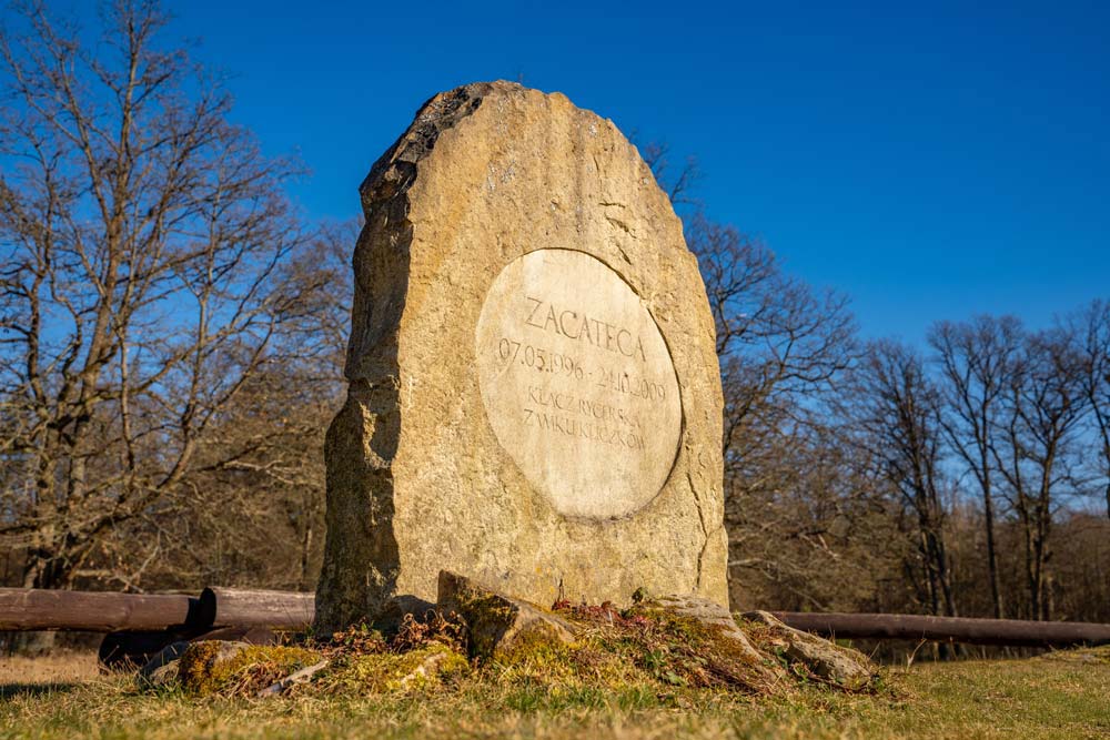 Nagrobek klaczy Zacateca na cmentarzu koni w Kliczkowie w otoczeniu parku zamkowego