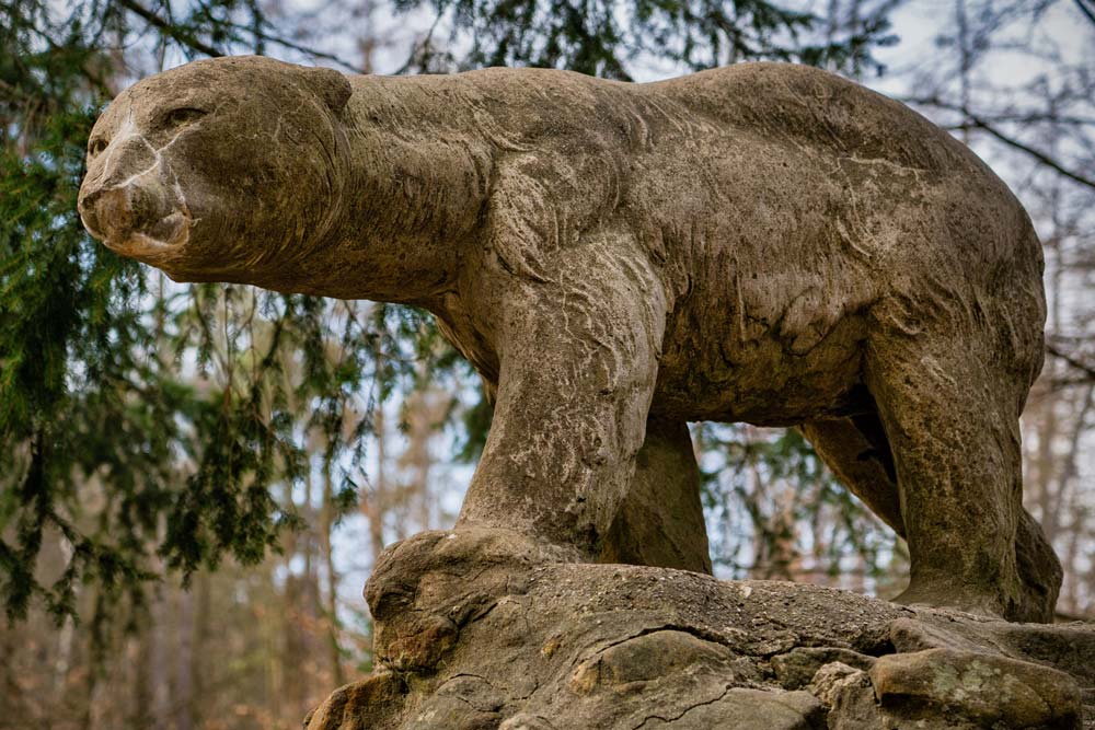 Betonowa rzeźba niedźwiedzia polarnego w Polanicy-Zdroju w zbliżeniu, zwietrzała powierzchnia i opuszczony łeb