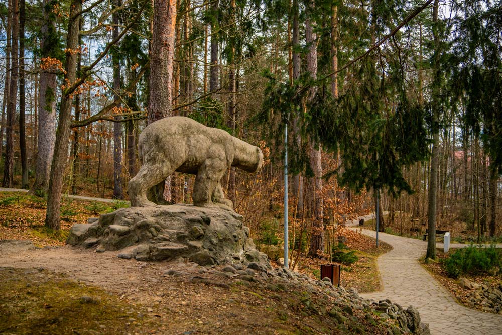 Pomnik niedźwiedzia polarnego w Parku Leśnym w Polanicy-Zdroju wśród sosen, obok alejka spacerowa